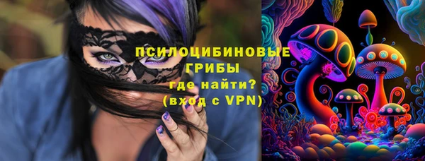 марки lsd Инта