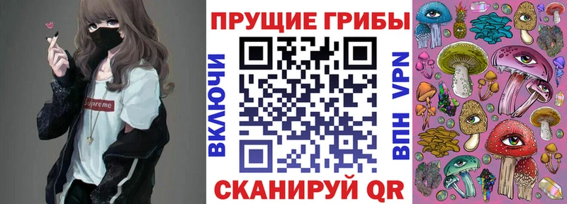 Галлюциногенные грибы Psilocybine cubensis Купить где Вилюйск